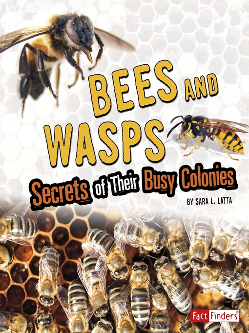 Title details for Bees and Wasps by Sara L. Latta - Wait list